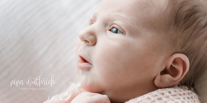 newborn archive nina wuthrich photography